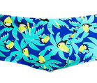 Funky Trunks kąpielówki męskie Bird Brain